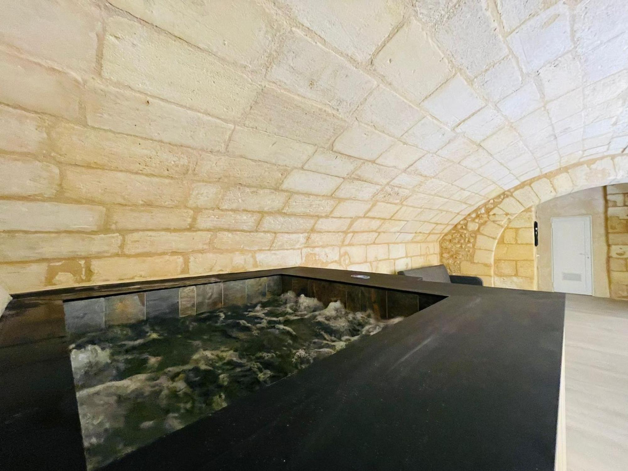 Loft Bordelais Lejlighed Bordeaux Eksteriør billede